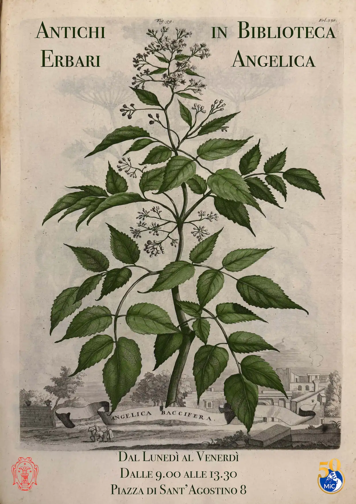 mostra erbari