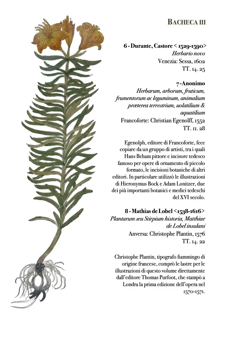 Bacheche Erbari