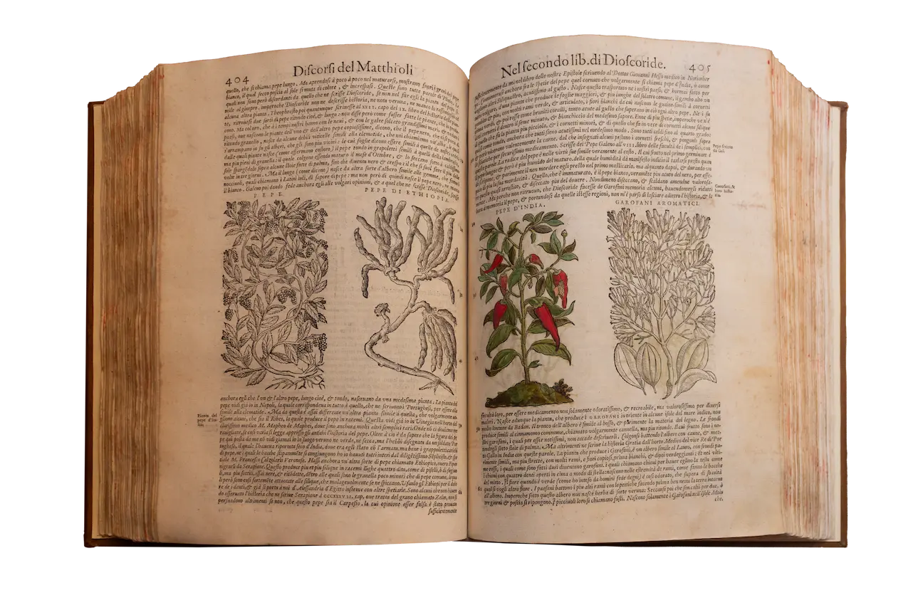 I discorsi di m Pietro Andrea Matthioli sanese I discorsi di m Pietro Andrea Matthioli sanese
