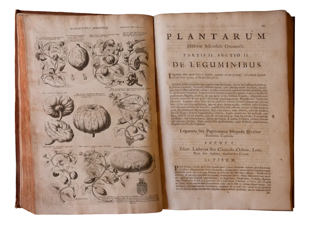 Plantarum historiæ universalis Plantarum historiæ universalis
